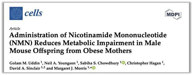 Nature：發(fā)現(xiàn)抽煙加速端?？s短，已找到恢復(fù)辦法-肽度TIMEDOO