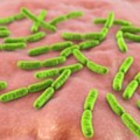 馬里蘭大學(xué)醫(yī)學(xué)院: 解碼陰道微生物-肽度TIMEDOO