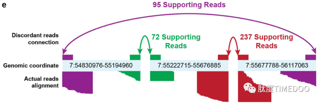 重大進展！5000例臨床全基因組測序揭示腫瘤環(huán)狀DNA全貌！再邀吳思涵獨家解讀自然新發(fā)現(xiàn)-肽度TIMEDOO