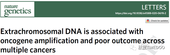 重大進展！5000例臨床全基因組測序揭示腫瘤環(huán)狀DNA全貌！再邀吳思涵獨家解讀自然新發(fā)現(xiàn)-肽度TIMEDOO