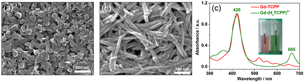 蘇州納米所: 在卟啉基金屬-有機(jī)骨架的設(shè)計(jì)合成與腫瘤治療方面取得進(jìn)展-肽度TIMEDOO