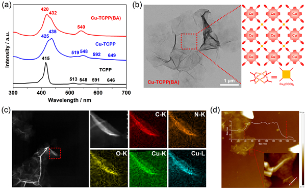 蘇州納米所: 在卟啉基金屬-有機(jī)骨架的設(shè)計(jì)合成與腫瘤治療方面取得進(jìn)展-肽度TIMEDOO