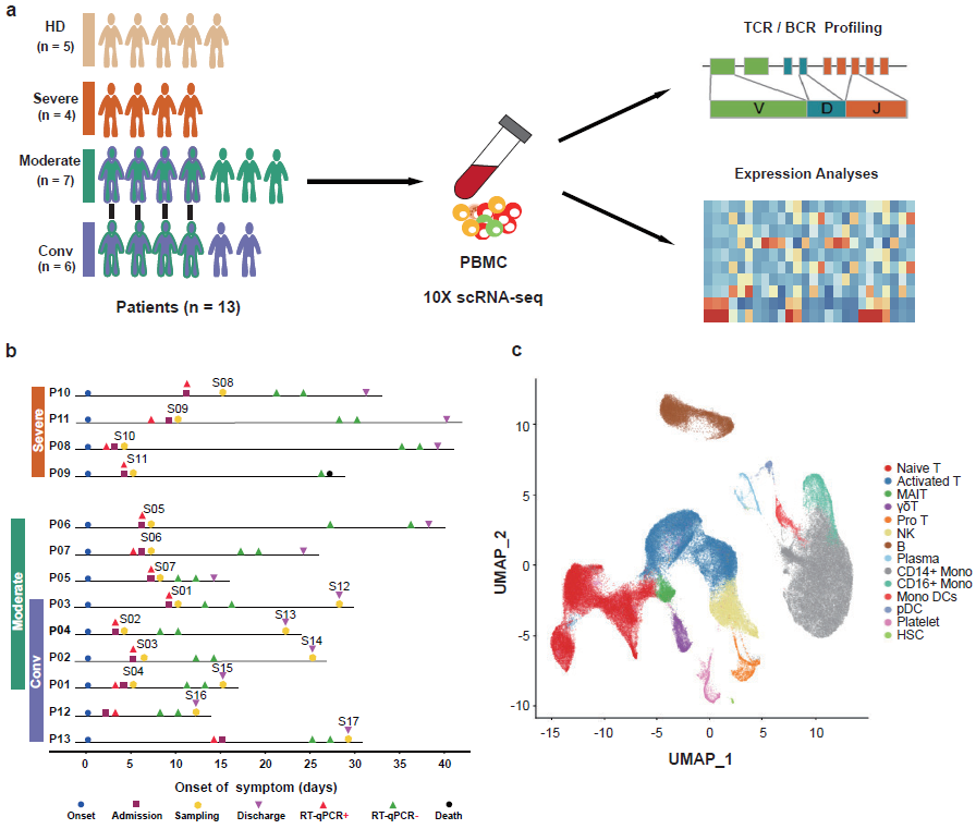 Nature immunoloy:新冠肺炎患者的單細胞免疫圖譜-肽度TIMEDOO