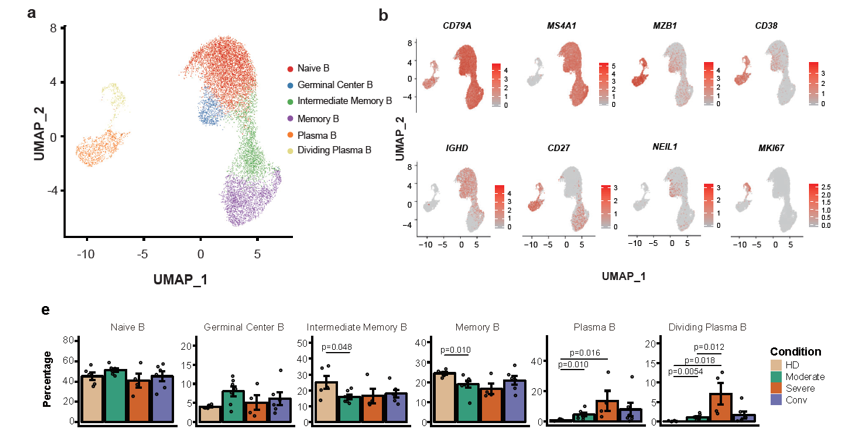 Nature immunoloy:新冠肺炎患者的單細胞免疫圖譜-肽度TIMEDOO