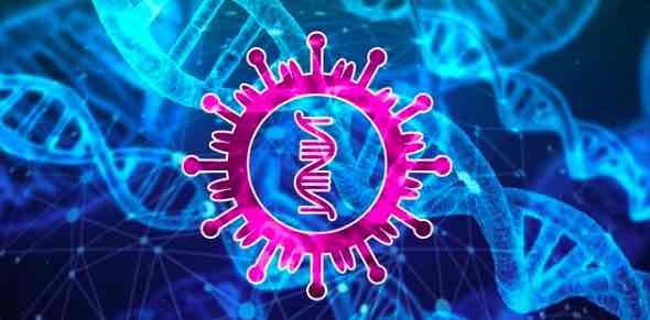 慕尼黑大學(xué):發(fā)現(xiàn)COVID-19如何抑制細(xì)胞蛋白合成-肽度TIMEDOO