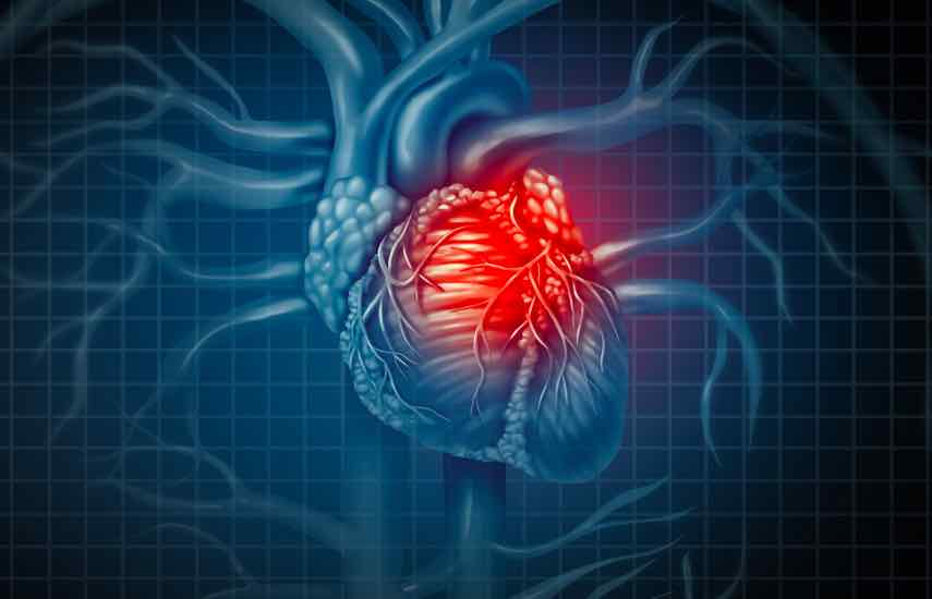 中國再生醫(yī)學(xué)重大突破:可注射材料治療心臟病臨床安全可行-肽度TIMEDOO