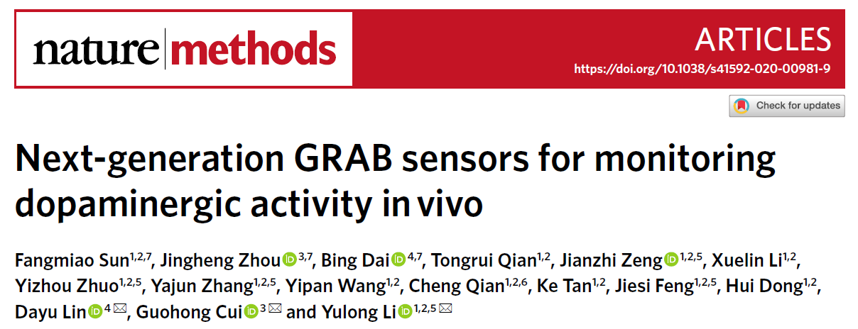 北京大學(xué):李毓龍實驗室與合作者實現(xiàn)新型紅色熒光多巴胺探針和第二代綠色熒光多巴胺探針的開發(fā)及應(yīng)用-肽度TIMEDOO