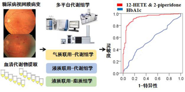 大連化學(xué)物理研究所:在糖尿病視網(wǎng)膜病變的早期發(fā)現(xiàn)研究中獲進(jìn)展-肽度TIMEDOO
