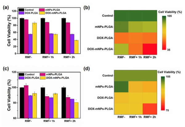寧波材料技術(shù)與工程研究所: 基于納米鐵氧體磁性材料的腫瘤治療研究獲進(jìn)展-肽度TIMEDOO