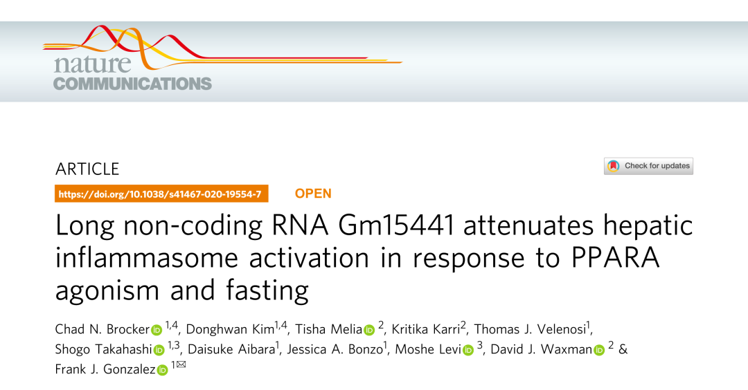 Nature子刊丨lncRNA Gm15441減弱肝炎性小體激活以響應(yīng)PPARα激動劑和禁食-肽度TIMEDOO