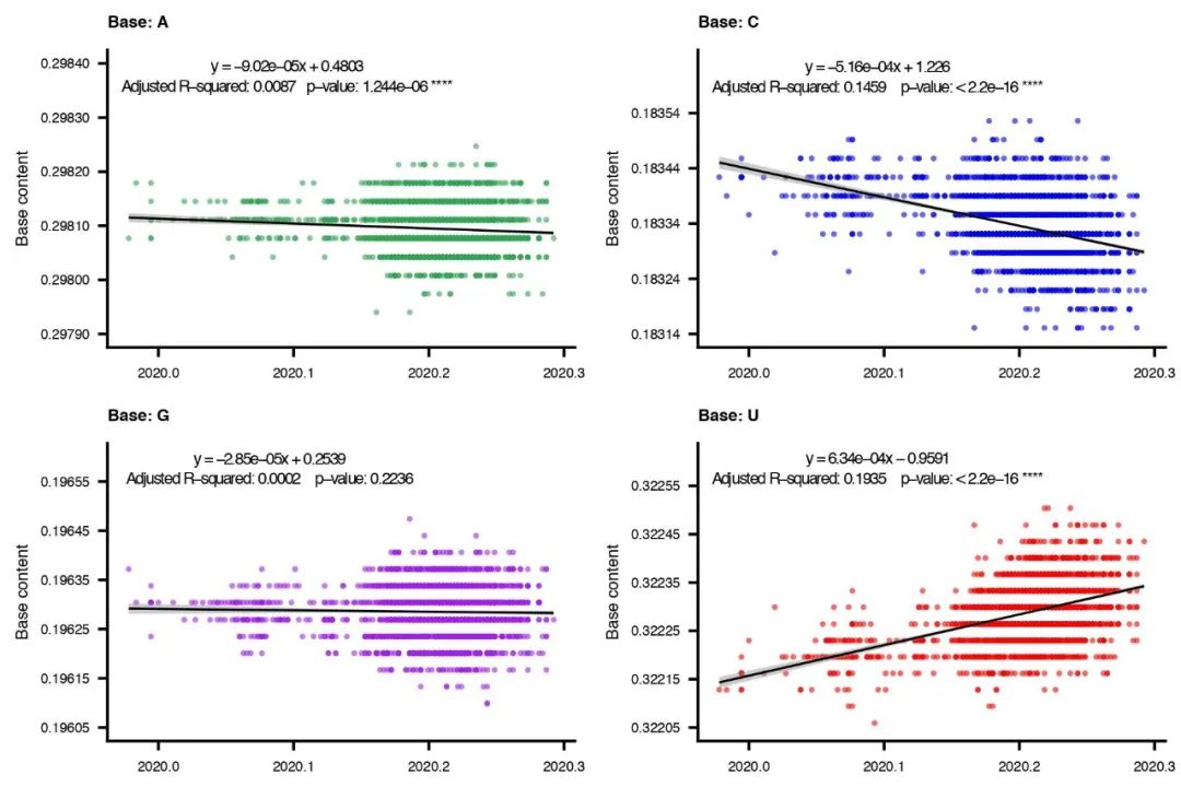 重磅！華大等機(jī)構(gòu)最新研究發(fā)現(xiàn)：細(xì)胞代謝壓力或使新冠病毒毒力變?nèi)?肽度TIMEDOO