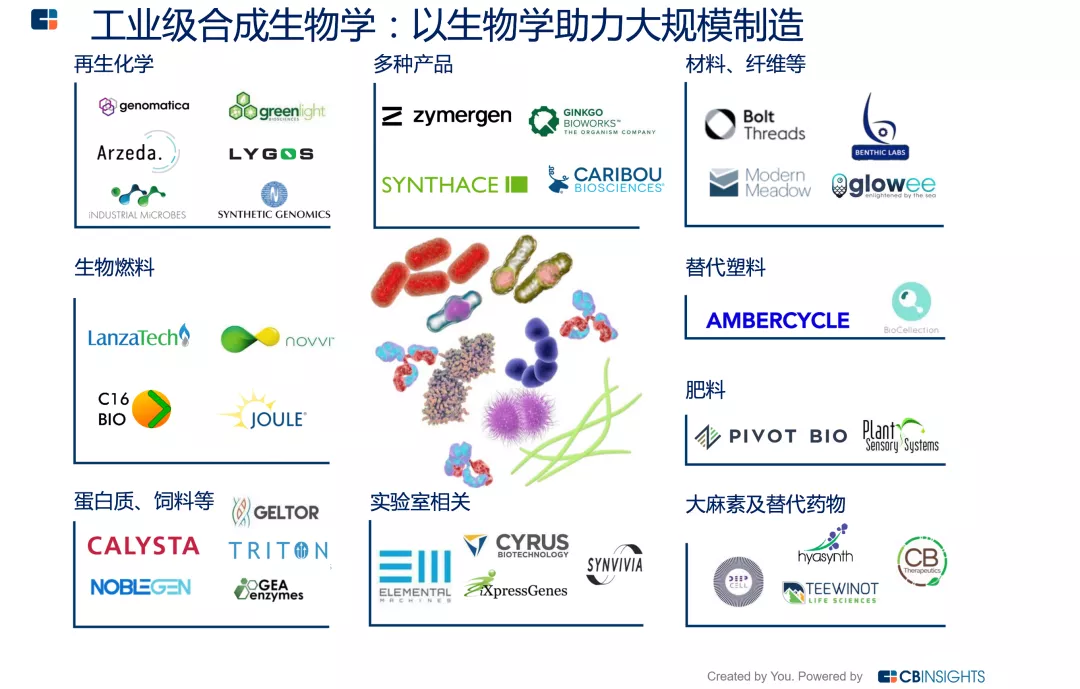 6國(guó)名?！昂廊A天團(tuán)”論劍合成生物學(xué)，千億新市場(chǎng)潛力！本世紀(jì)標(biāo)志性新興科技之一-肽度TIMEDOO