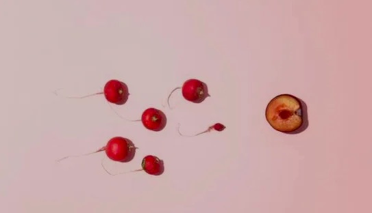 生殖保健公司 Mojo: 開發(fā)了一個能識別精子質(zhì)量的AI機(jī)器人-肽度TIMEDOO