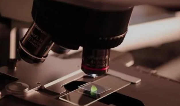 生殖保健公司 Mojo: 開發(fā)了一個能識別精子質(zhì)量的AI機(jī)器人-肽度TIMEDOO