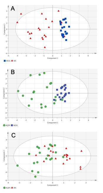 心理所等通過定量脊髓磁共振成像評(píng)估中樞神經(jīng)系統(tǒng)脫髓鞘疾病-肽度TIMEDOO