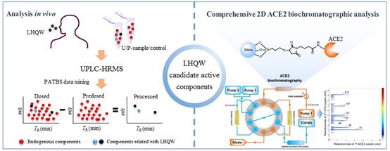 連花清瘟膠囊防治新冠肺炎藥理活性成分和機制研究取得新進展-肽度TIMEDOO