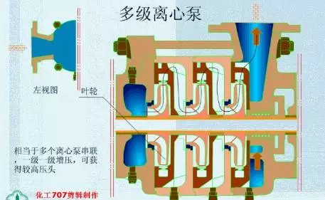 華大研究院攜手得克薩斯大學西南醫(yī)學中心,單細胞水平解析豬與靈長類動物胚胎發(fā)育差異-肽度TIMEDOO