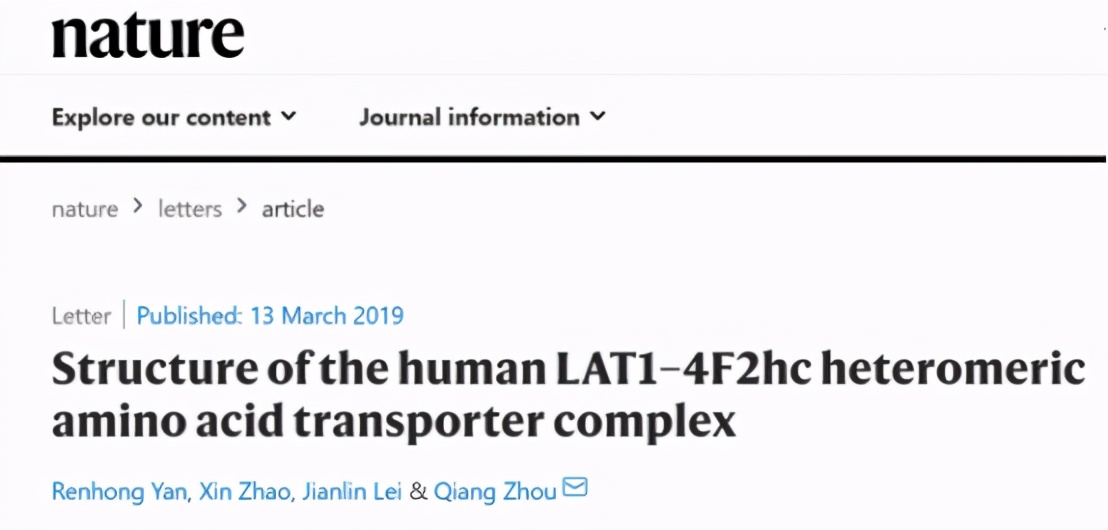 首次揭開(kāi)新冠病毒入侵人體第一道 “關(guān)卡” 全景結(jié)構(gòu)，顏寧29歲弟子深入研究病毒如何打開(kāi)人體“門(mén)把手”-肽度TIMEDOO