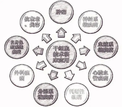 2021中國國際干細胞治療暨抗衰老展覽會 2021國際干細胞治療暨抗衰老高峰論壇-肽度TIMEDOO