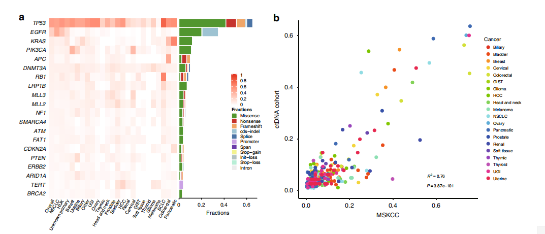 Nature子刊｜華大智造DNBSEQ測序平臺助力超萬例中國泛癌種患者ctDNA檢測研究-肽度TIMEDOO