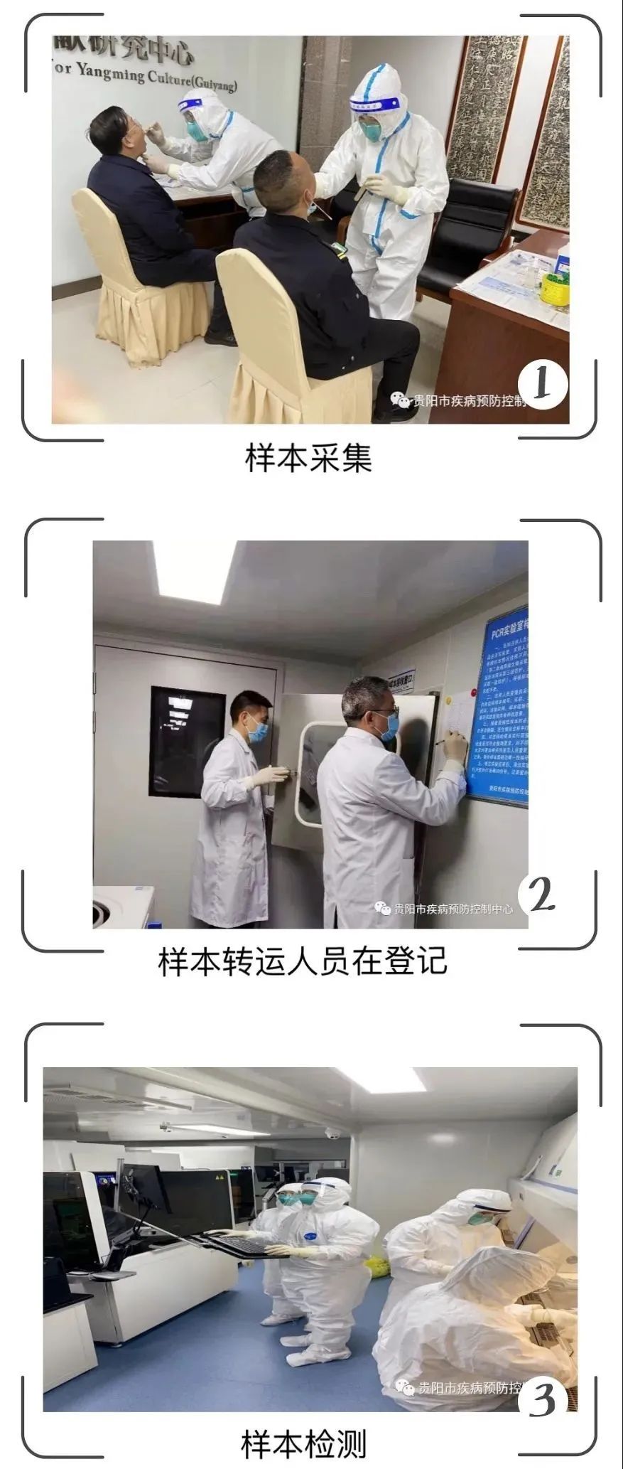 華大智造“本地+移動”一站式核酸檢測平臺助力貴陽市建成大規(guī)模新冠病毒核酸檢測實驗室-肽度TIMEDOO