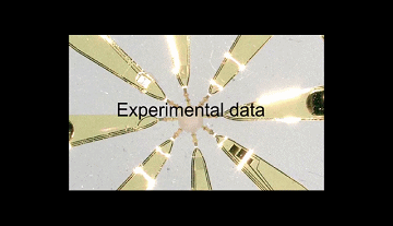 90后同濟(jì)畢業(yè)生致力于修復(fù)受損大腦，研發(fā)可感知“微型腦”-肽度TIMEDOO