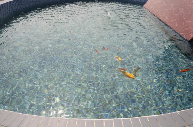 從“引進(jìn)來”到“走出去”，華大智造亮相中國(guó)品牌日！-肽度TIMEDOO