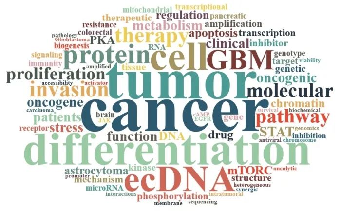 得克薩斯大學(xué)西南醫(yī)學(xué)中心吳思涵實(shí)驗(yàn)室招聘博士后（腫瘤ecDNA）-肽度TIMEDOO