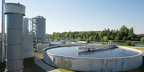 清華大學(xué)醫(yī)學(xué)院那潔/曹云霞/章志國/李琳團(tuán)隊(duì)報(bào)道阻滯人類受精卵分裂的致病基因CHEK1突變和潛在治療方法-肽度TIMEDOO