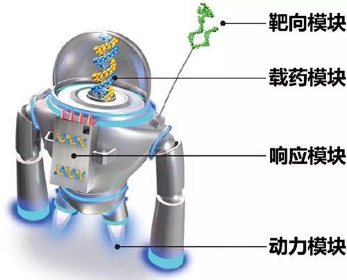 趙宇亮院士:“智能納米機器用于重大疾病治療的研究進展”-肽度TIMEDOO