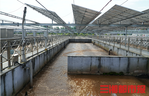 中國版ASGCT強(qiáng)勢首發(fā)，第五屆IGC中國國際免疫基因及細(xì)胞治療論壇火力全開！-肽度TIMEDOO