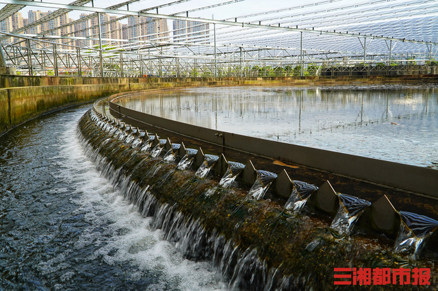 2021年9月10-11日·蘇州|CGCT 中國基因與細胞治療青藜風(fēng)云論壇-肽度TIMEDOO