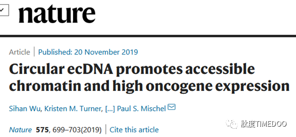 吳思涵國內(nèi)首場腫瘤ecDNA學(xué)術(shù)報告|深度揭秘半個世紀(jì)ecDNA的研究成果及突破性進展-肽度TIMEDOO