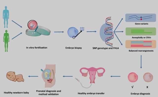 復(fù)旦大學(xué):徐叢劍教授團(tuán)隊(duì)在生殖醫(yī)學(xué)PGT研究領(lǐng)域取得重要進(jìn)展-肽度TIMEDOO