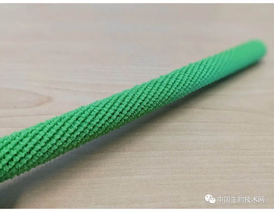 吃盤蔬菜沙拉就能完成mRNA疫苗接種？可食用的mRNA疫苗要來了-肽度TIMEDOO