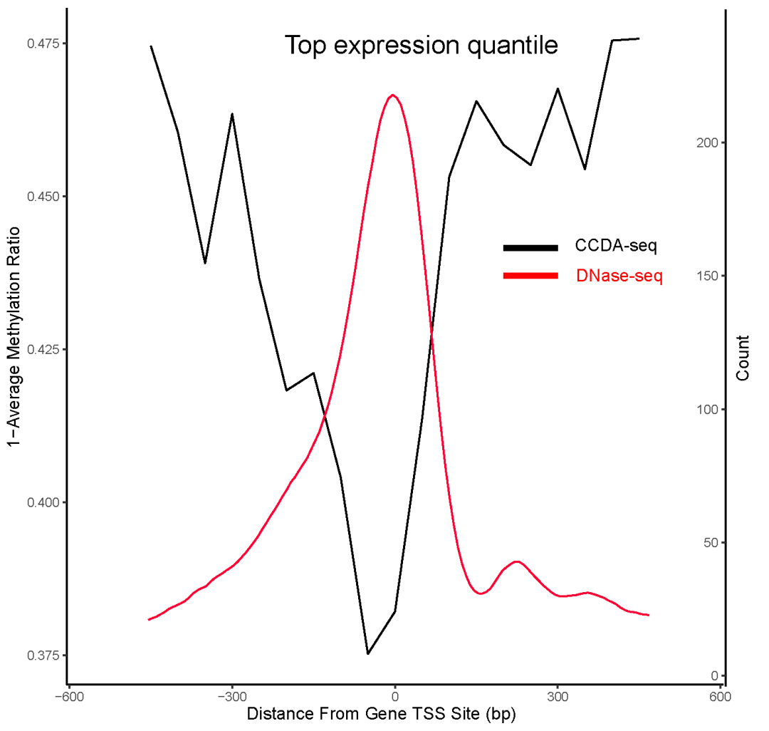 新技術(shù)！ecDNA與線性DNA的表觀遺傳差異研究迎來重要進(jìn)展-肽度TIMEDOO