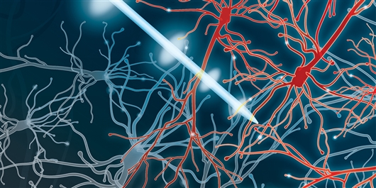 帕金森治療迎來新希望-肽度TIMEDOO