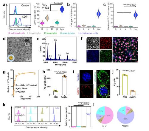科學(xué)家實(shí)現(xiàn)三氧化二砷“仿生遞送”治療白血病-肽度TIMEDOO
