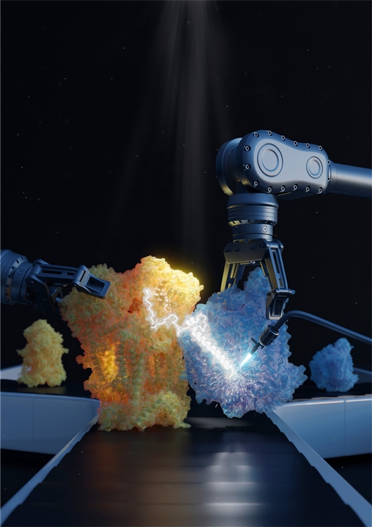 科學(xué)家首次描述細(xì)胞必需的蛋白質(zhì)復(fù)合體結(jié)構(gòu)-肽度TIMEDOO