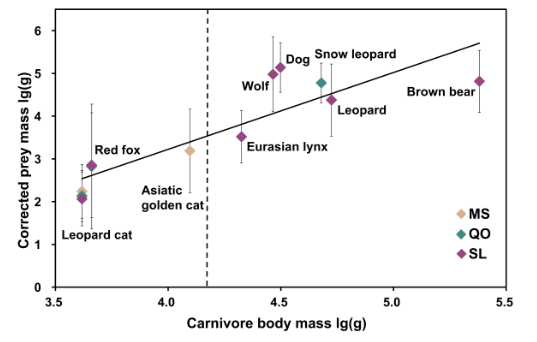 北京大學(xué)生命科學(xué)學(xué)院姚蒙、李晟課題組報(bào)道基于DNA宏條形碼解析我國(guó)西南山地多種食肉動(dòng)物復(fù)雜食物網(wǎng)結(jié)構(gòu)和物種共存機(jī)制-肽度TIMEDOO