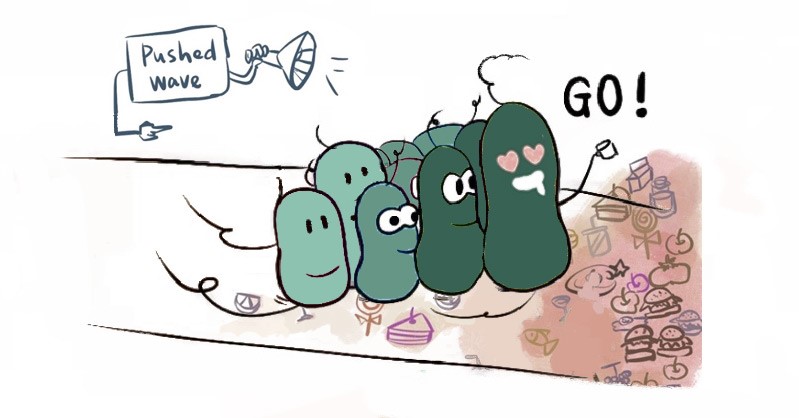 1.jpg 從細(xì)菌無(wú)序的個(gè)體運(yùn)動(dòng)到有序的群體遷移獲揭示-肽度TIMEDOO