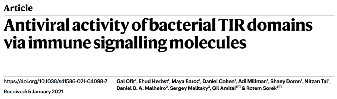 Nature | 細(xì)菌免疫系統(tǒng)新突破！揭示細(xì)菌TIR結(jié)構(gòu)域抗病毒分子機制-肽度TIMEDOO