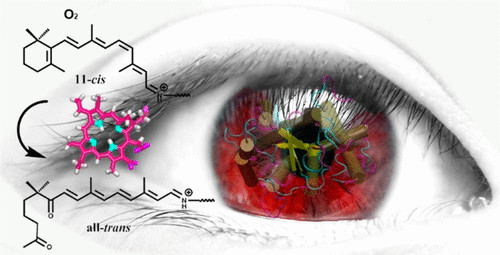 你聽說過嗎？這種癌癥療法會讓患者增加一種“超能力”...-肽度TIMEDOO