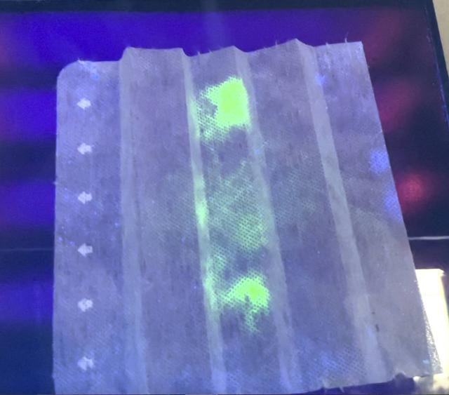 有病毒一照就發(fā)光!科學(xué)家利用鴕鳥蛋研發(fā)出新冠檢測口罩-肽度TIMEDOO