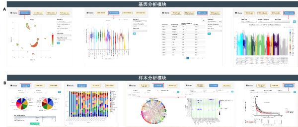 北京基因組所發(fā)布癌癥單細(xì)胞表達(dá)圖譜數(shù)據(jù)庫(kù)CancerSCEM-肽度TIMEDOO