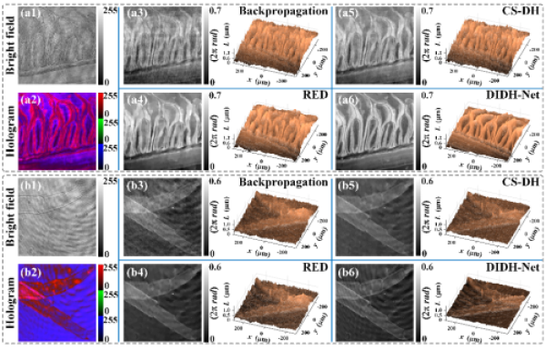 西安光機所智能光學顯微成像研究取得進展-肽度TIMEDOO