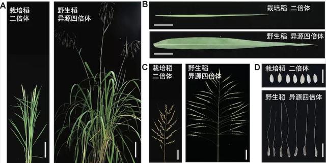 兩院院士評(píng)選“2021年中國(guó)/世界十大科技進(jìn)展新聞”揭曉-肽度TIMEDOO