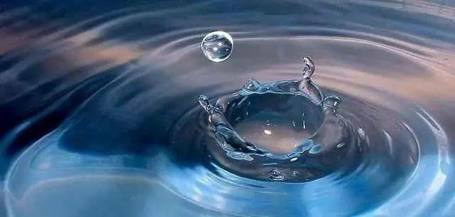 深圳一確診感染奧密克戎！華大“火眼”嚴(yán)陣以待！-肽度TIMEDOO