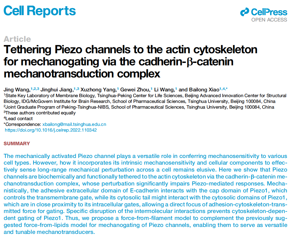 科研成果 | 肖百龍研究組揭示機械力分子受體Piezo的新型機械力感知分子機制-肽度TIMEDOO