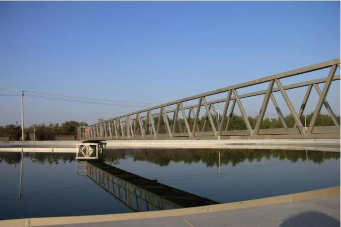 中科院研究揭示環(huán)形RNA促進(jìn)相分離調(diào)控腫瘤發(fā)展分子機(jī)制-肽度TIMEDOO